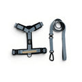 Muskoka Mist Blue heavy-duty dog harness and leash set on white background
