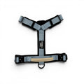 Muskoka Mist Blue heavy-duty dog harness with control handle on white background