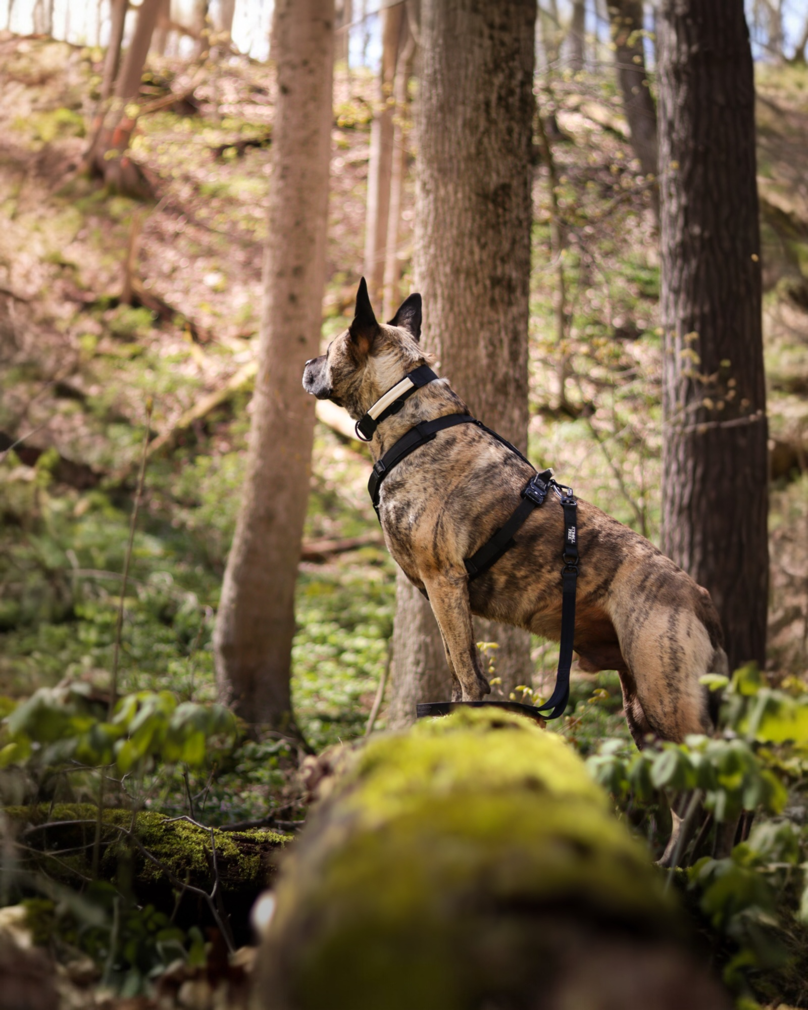 slider image 1621243260e1af0c20-0