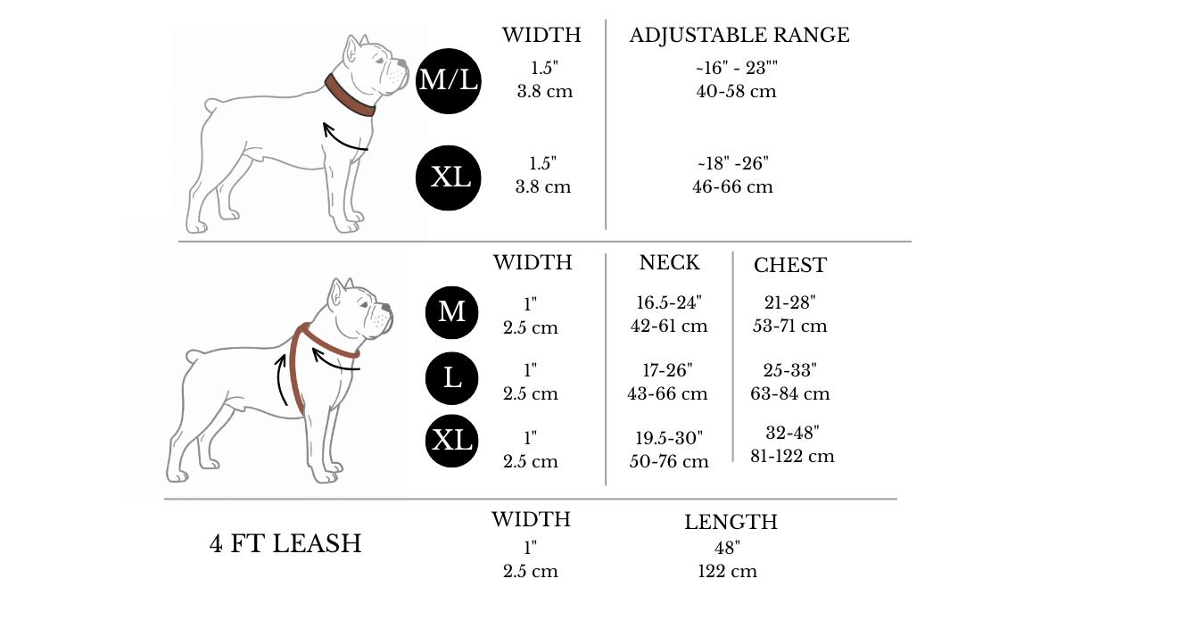 Dog harness, collar and leash size chart with measurements of the neck and chest on a white background