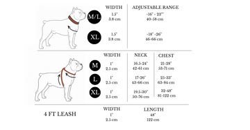 Dog harness, collar and leash size chart with measurements of the neck and chest on a white background