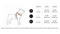 Dog harness size guide showing neck and chest measurement diagram with sizing chart for medium, large and extra large dogs